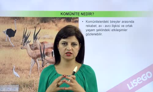 EBA BİYOLOJİ LİSE - EKOLOJİ VE GÜNCEL ÇEVRE SORUNLARI - KOMÜNİTE EKOLOJİSİ, SİMBİYOTİK YAŞAM - KOMÜNİTE, REKABET VE AV - AVCI İLİŞKİSİ