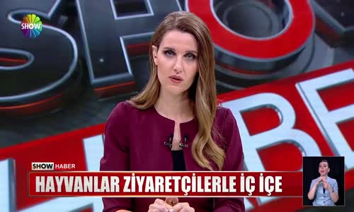 Hayvanlar ziyaretçilerle iç içe