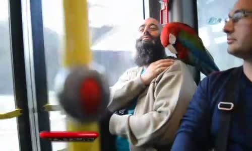 Allah Diyen Papağan Metrobüs Yolcularını Hayrete Düşürdü