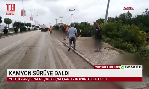 KAMYON SÜRÜYE DALDI