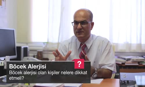 Böcek Alerjisi Olan Kiş Neyle Dikkat Et