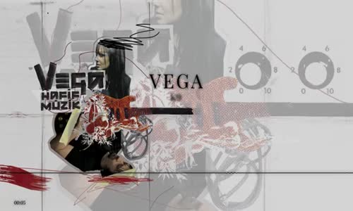 Vega  K-9 