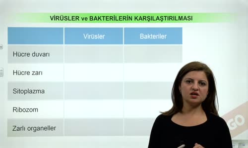 EBA BİYOLOJİ LİSE - CANLILARIN SINIFLANDIRILMASI VE CANLI ALEMLERİ - HAYVANLAR ALEMİ - VİRÜSLER - VİRÜSLER VE BAKTERİLERİN KARŞILAŞTIRILMASI