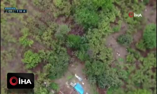 Polis drone ile takip edip arı kovanını içinde uyuşturucu ve silah ele geçirdi 