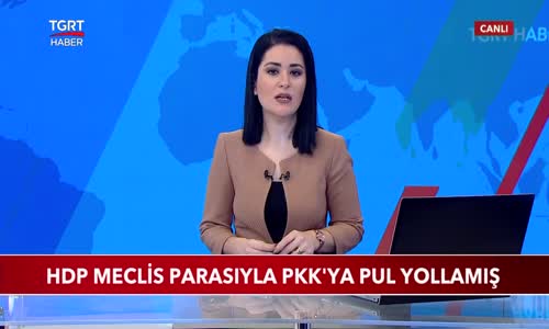 HDP Meclis Parasıyla PKK'ya Pul Yollamış 
