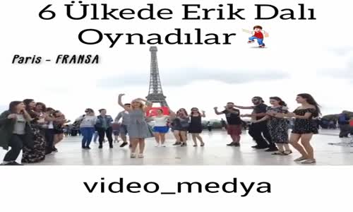 6 Ülkede Erik Dalı