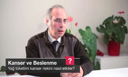 Yağ Tüketimi Kanser Riskini Nasıl Etkiler