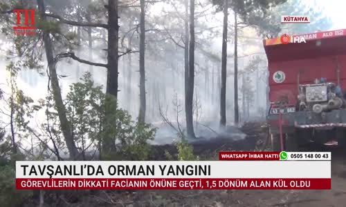 TAVŞANLI'DA ORMAN YANGINI