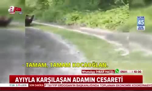 Ayıyla Karşılaşan Adamın İnanılmaz Cesareti