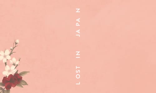 Shawn Mendes - Lost In Japan