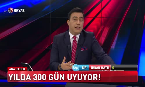 Yılda 300 gün uyuyor