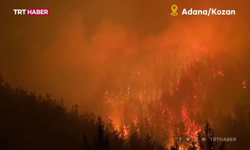 Adana'daki orman yangını nedeniyle 5 köy tahliye edildi