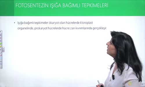 EBA BİYOLOJİ LİSE - CANLILARDA ENERJİ, FOTOSENTEZ VE KEMOSENTEZ - FOTOSENTEZ TEPKİMELERİ - FOTOSENTEZİN IŞIĞA BAĞIMLI TEPKİMELERİ