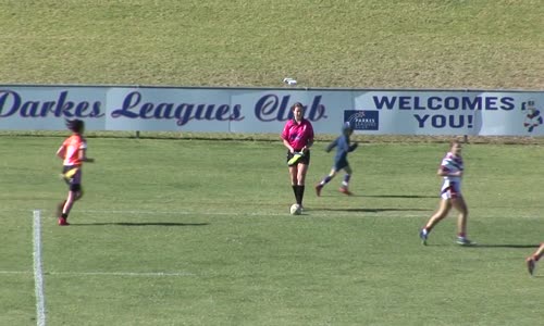 Rugby Maçını Yarıda Kesen Kanguru