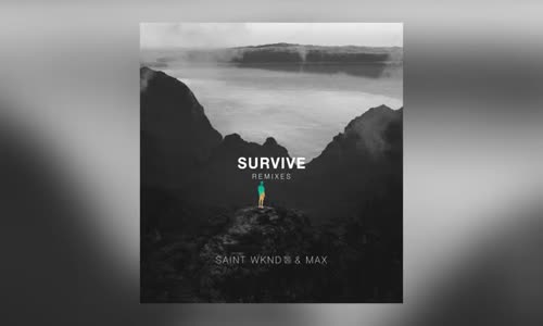 Saınt Wknd & Max Survive Y.V.E. 48 Remix