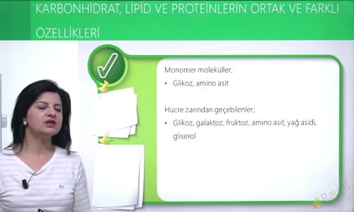 EBA BİYOLOJİ LİSE - CANLILARIN YAPISINDA BULUNAN TEMEL BİLEŞİKLER - PROTEİNLER - KARBONHİDRAT, LİPİD VE PROTEİNLERİN ORTAK VE FARKLI ÖZELLİKLERİ