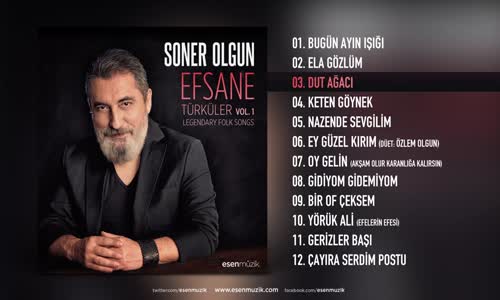 Soner Olgun Dut Ağacı