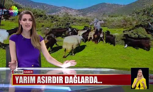 Yarım asırdır dağlarda...