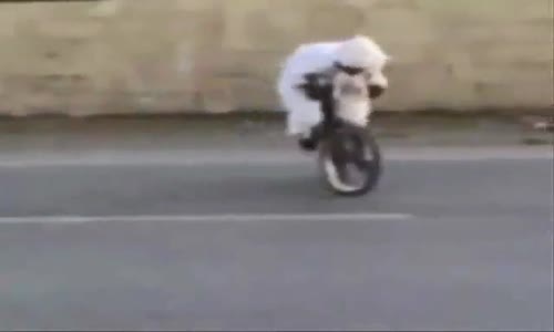 Bmx ile Sitil Yaratan Çılgın Arap