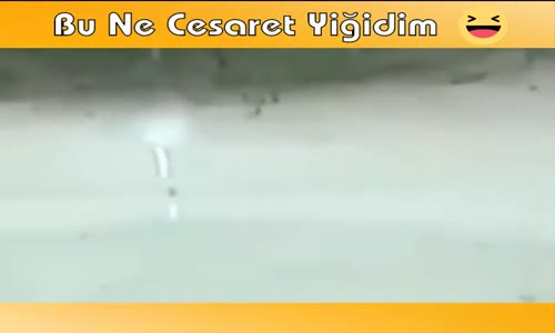 Köpeğin Cesareti Ve Komik Dublaj