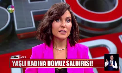 Yaşlı kadına domuz saldırısı! 