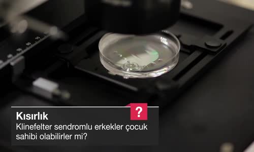 Klinefelter Sendromlu Erkekler Çocuk Sahibi Olabilirler Mi