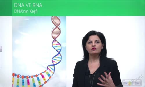 EBA BİYOLOJİ LİSE - NÜKLEİK ASİTLERİN KEŞFİ VE ÖNEMİ - DNA VE RNA - DNA'NIN KEŞFİ