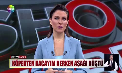 Köpekten kaçayım derken aşağı düştü 