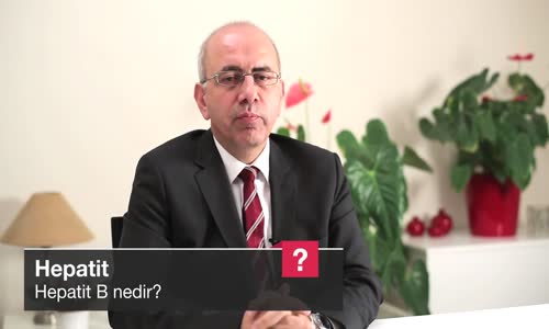 Hepatit B Nedir