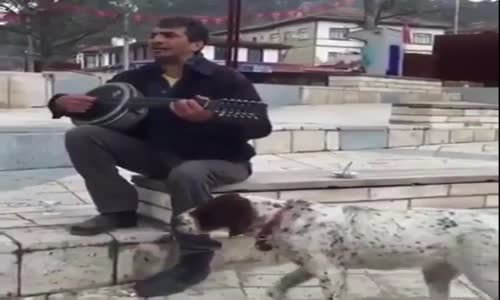 Şarkı Söylerken Köpeğe Hoşt Diyen Adam