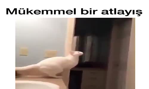 Mükemmel Bir Atlayış