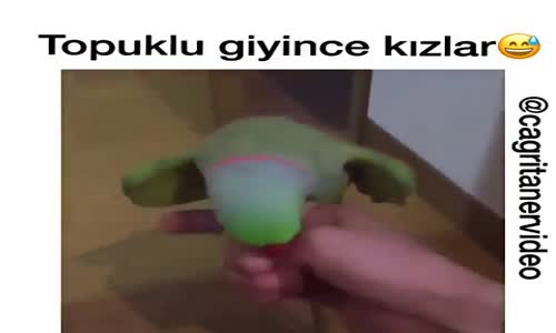 Manken Gibi Yürüyen Papağan 