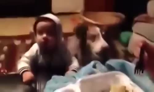 Yemeği Paylaşamayan Köpekle Bebek