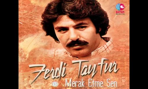 Ferdi̇ Tayfur - Alıştım