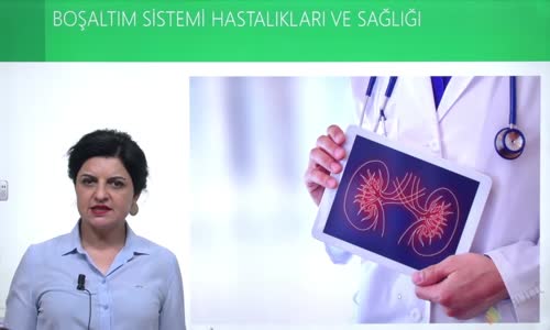 EBA BİYOLOJİ LİSE - ÜRİNER SİSTEM - BOŞALTIM SİSTEMİ HASTALIKLARI VE SAĞLIĞI