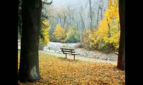 Düş Sokağı Sakinleri Acılar Parkı 