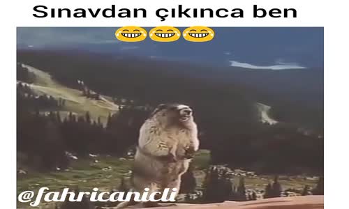 Sınavdan Çıkınca Ben