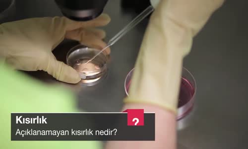 Açıklanamayan Kısırlık Nedir