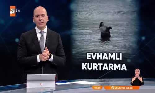 Köpeği kurtarmak için! 