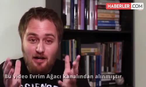 Tavuklar ile Dinozorlar Akraba! Hayvanlar Aleminden Sizi Şaşırtacak Bilgiler