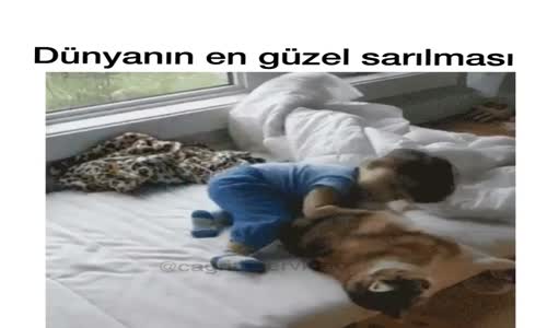 Dünyanın En Güzel Sarılması