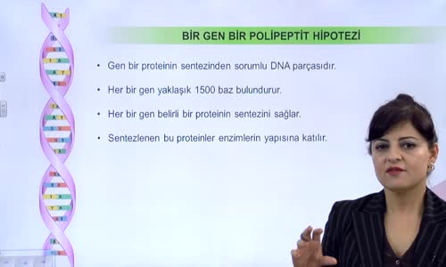 EBA BİYOLOJİ LİSE - GENETİK ŞİFRE VE PROTEİN SENTEZİ- PROTEİN SENTEZİ VE SANTRAL DOGMA - BİR GEN BİR POLİPEPTİT HİPOTEZİ VE GENETİK ŞİFRE