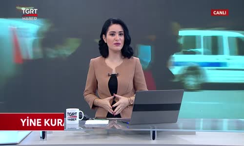 Yine Kural Tanımadılar 