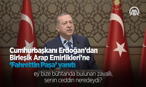 Cumhurbaşkanı Erdoğan’dan Birleşik Arap Emirlikleri'ne 'Fahrettin Paşa' Yanıtı 