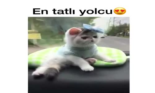 En Tatlı Yolcu