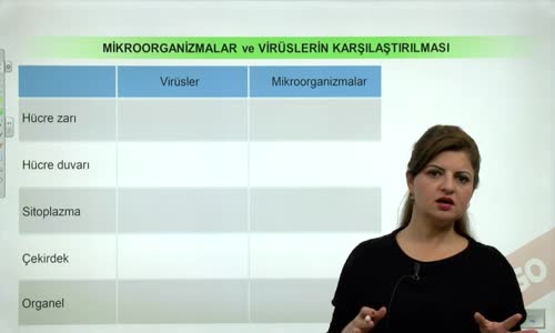 EBA BİYOLOJİ LİSE - CANLILARIN SINIFLANDIRILMASI VE CANLI ALEMLERİ - HAYVANLAR ALEMİ - MİKROORGANİZMALARIN KARŞILAŞTIRILMASI - MİKROORGANİZMALAR VE VİRÜSLERİN KARŞILAŞTIRILMALARI