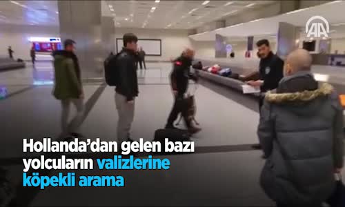 Hollanda'dan Gelen Bazı Yolcuların Valizlerine Köpekli Arama