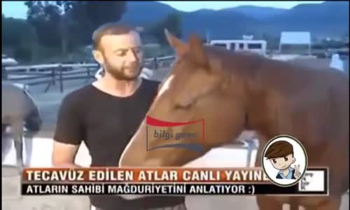 Atları Tecavüze Uğrayan Adam Canlı Yayında Konuştu.! Tecavüze Uğrayan Atlar Hamile Eşek Depresyonda