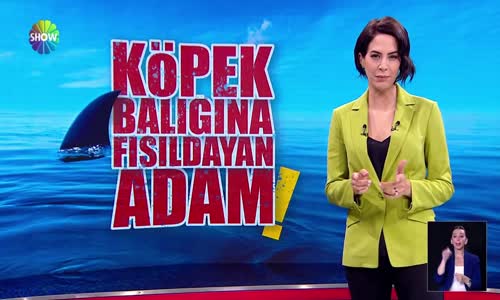 Köpek balığına fısıldayan adam!