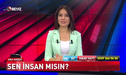 Sen insan mısın?